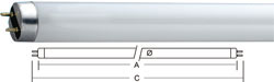 T8-halophosphate-fluorescent-tube